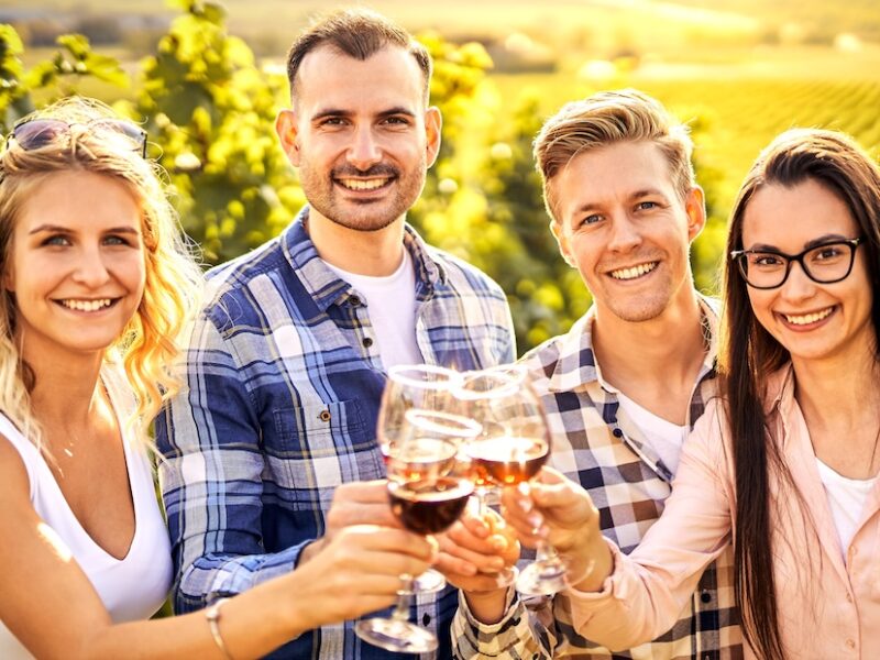 Zwei fröhliche Pärchen die an einem sonnigen Tag im Weinberg stehen und mit Weingläsern anstoßen